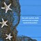 Fishing Net Decor – Real Repurposed 5x7ft Fishing Net for Wall with 5 Finger Starfish 3"-4", Beach Party & Nautical Decorations – Authentic Fish Netting for Pirate & Mermaid Themes – Indoor Outdoor Coastal Home Décor